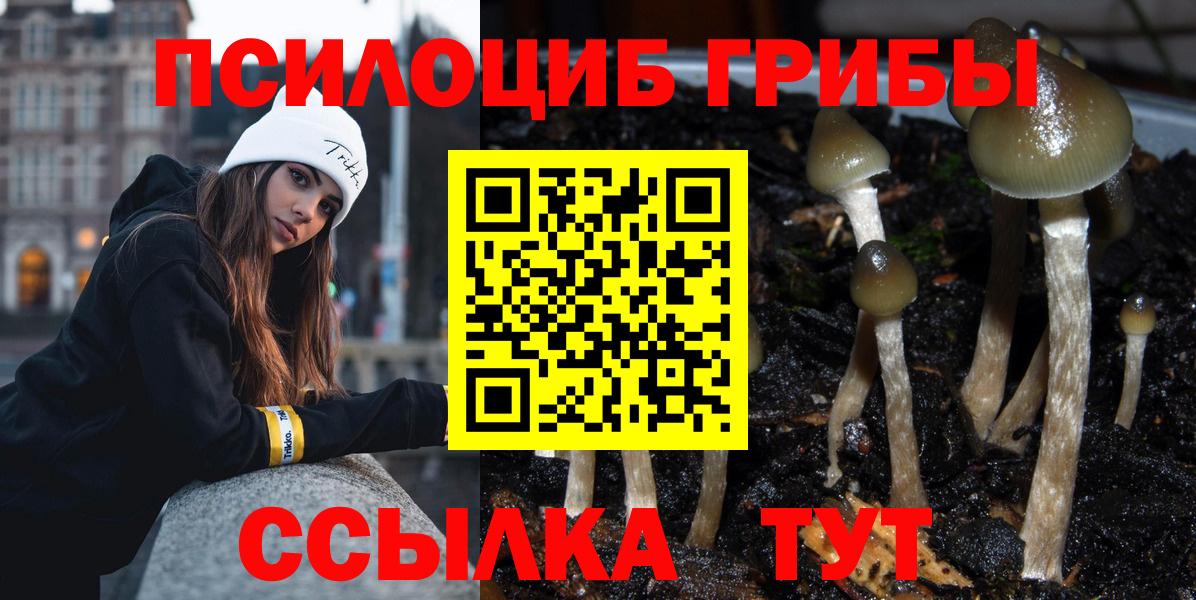 Соль-Илецк  закладка  Вход с VPN  Галлюциногенные грибы ЛСД 